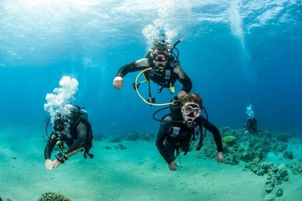 padi advanced diving course open water license marsa alam - Image 5
