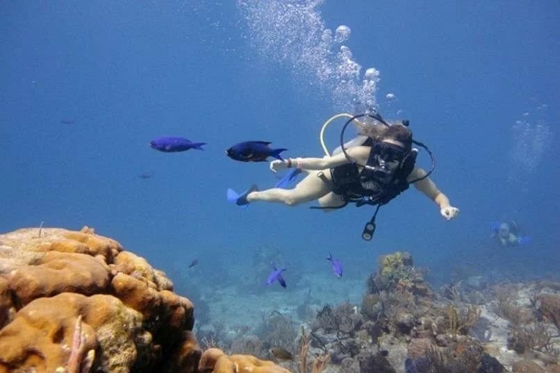 padi advanced diving course open water license marsa alam - Image 6