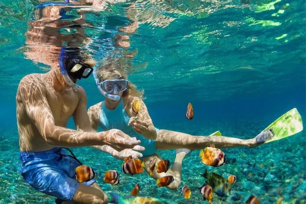 red sea snorkeling day trip by boat from hurghada - Image 6