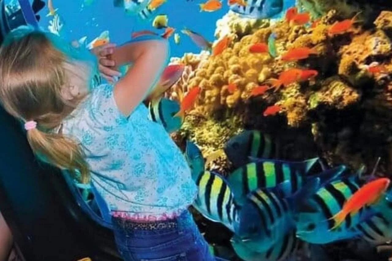 royal seascope semi submarine marsa alam - Image 3