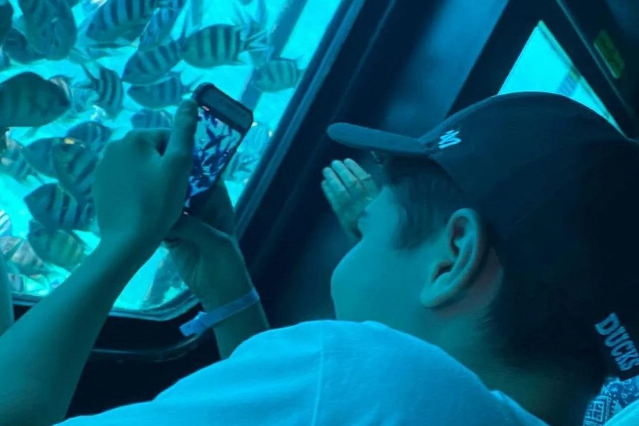 royal seascope semi submarine marsa alam - Image 5