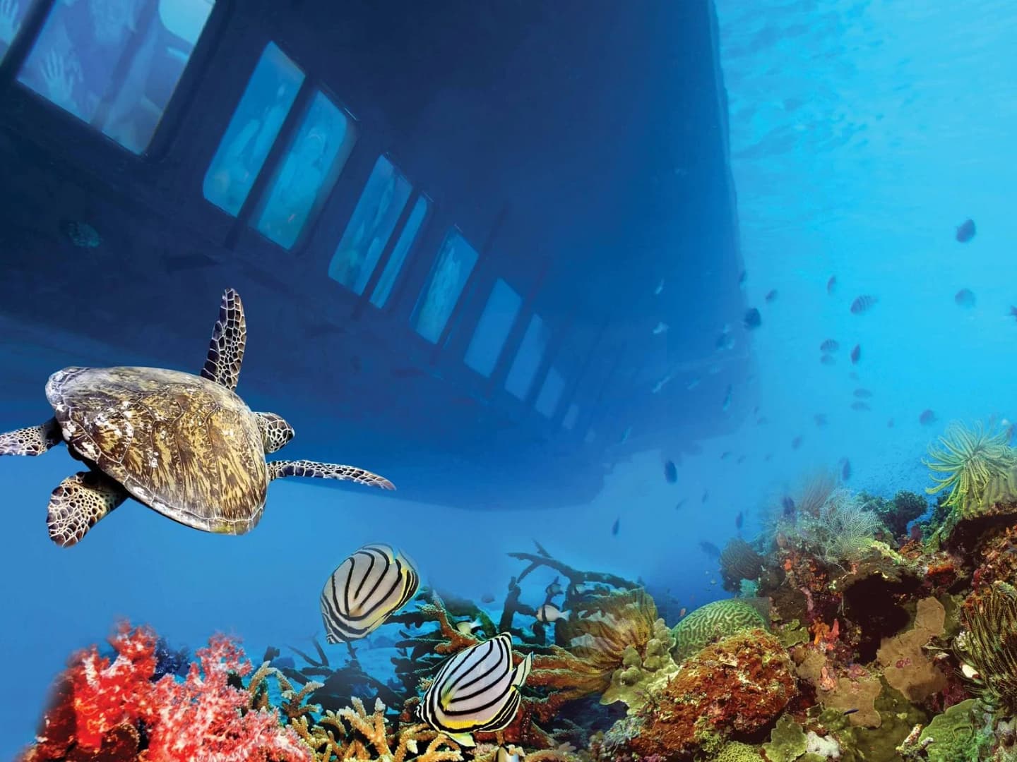 sea scope semi submarine with transfer marsa alam - Image 2