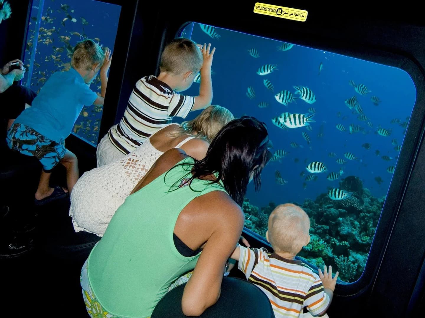 sea scope semi submarine with transfer marsa alam - Image 4