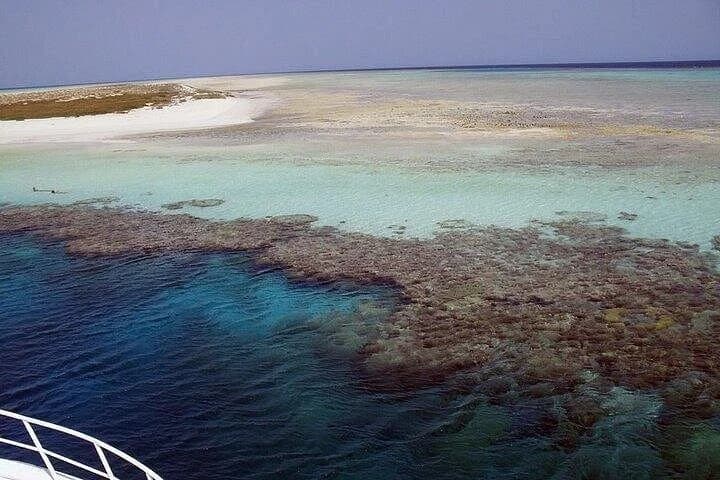 seaside adventures from marsa alam to hamata with lunch - Image 2