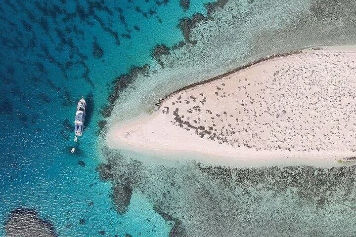 seaside adventures from marsa alam to hamata with lunch - Image 3