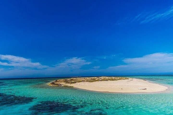 seaside adventures from marsa alam to hamata with lunch - Image 4