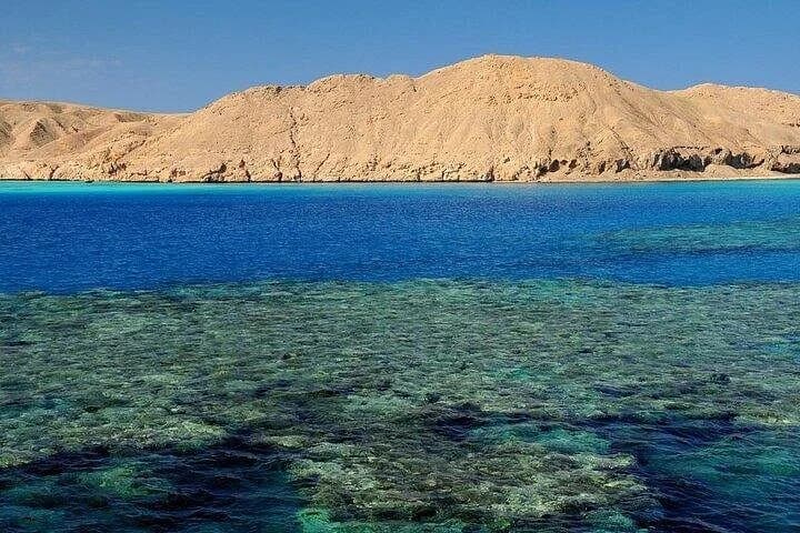 seaside adventures from marsa alam to hamata with lunch - Image 5