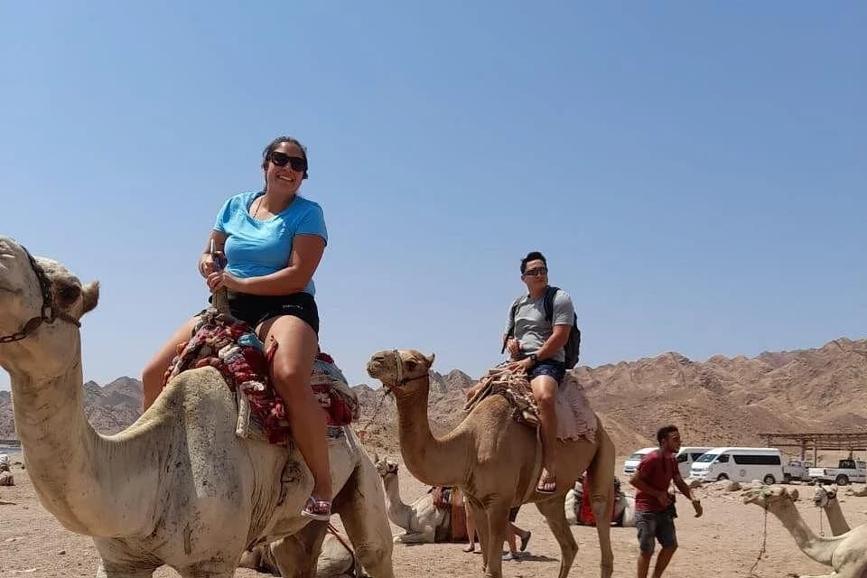 sharm el sheikh top things to do in 3 day - Image 6