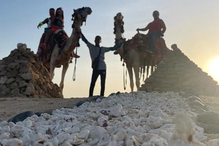 sunrise camel riding desert and sea in marsa alam - Image 2