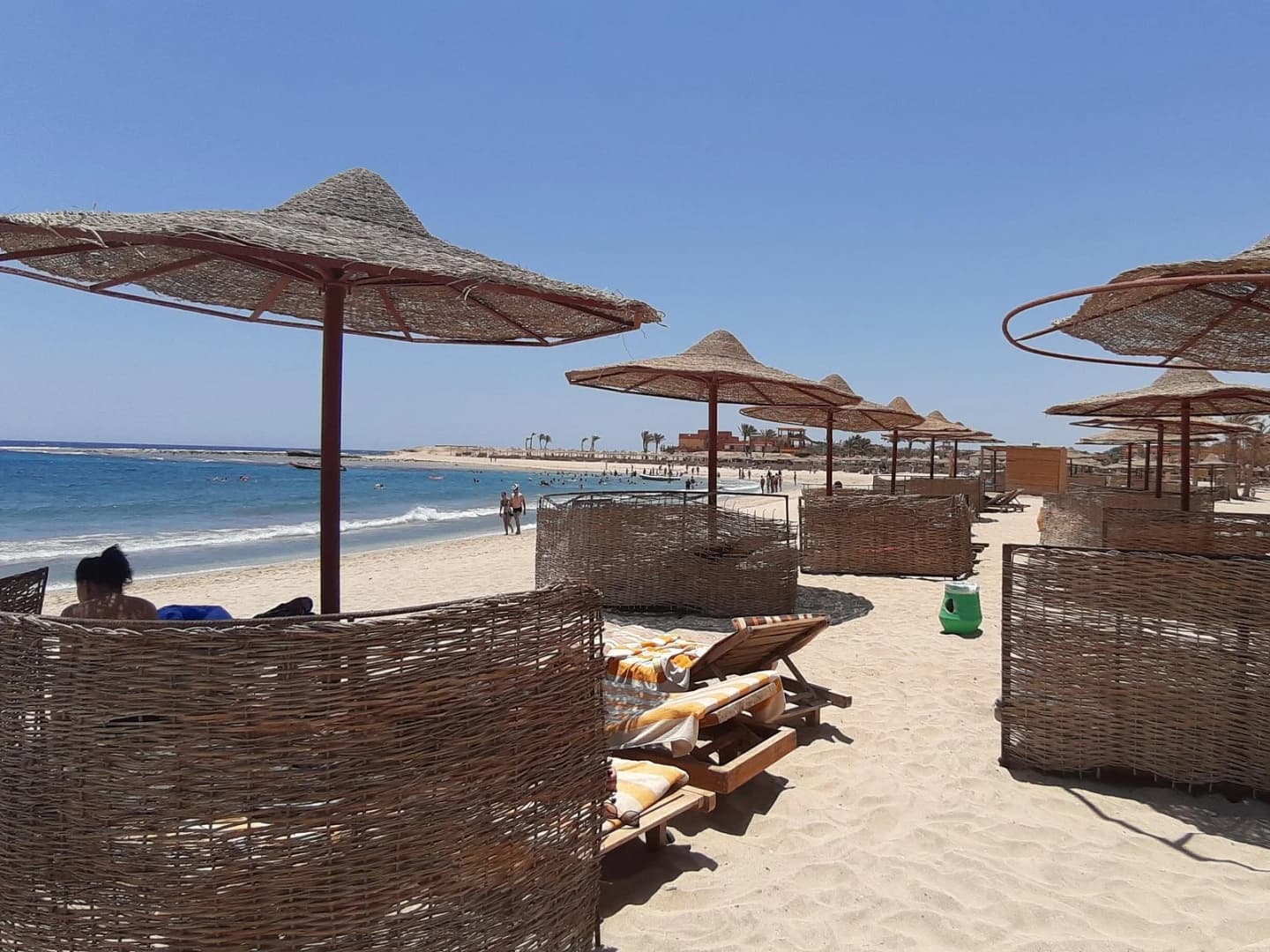 turtles bay swimming with turtles hurghada marsa alam - Image 2