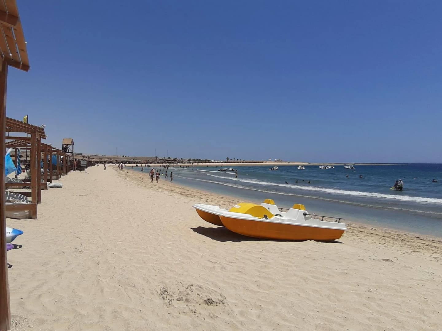turtles bay swimming with turtles hurghada marsa alam - Image 4