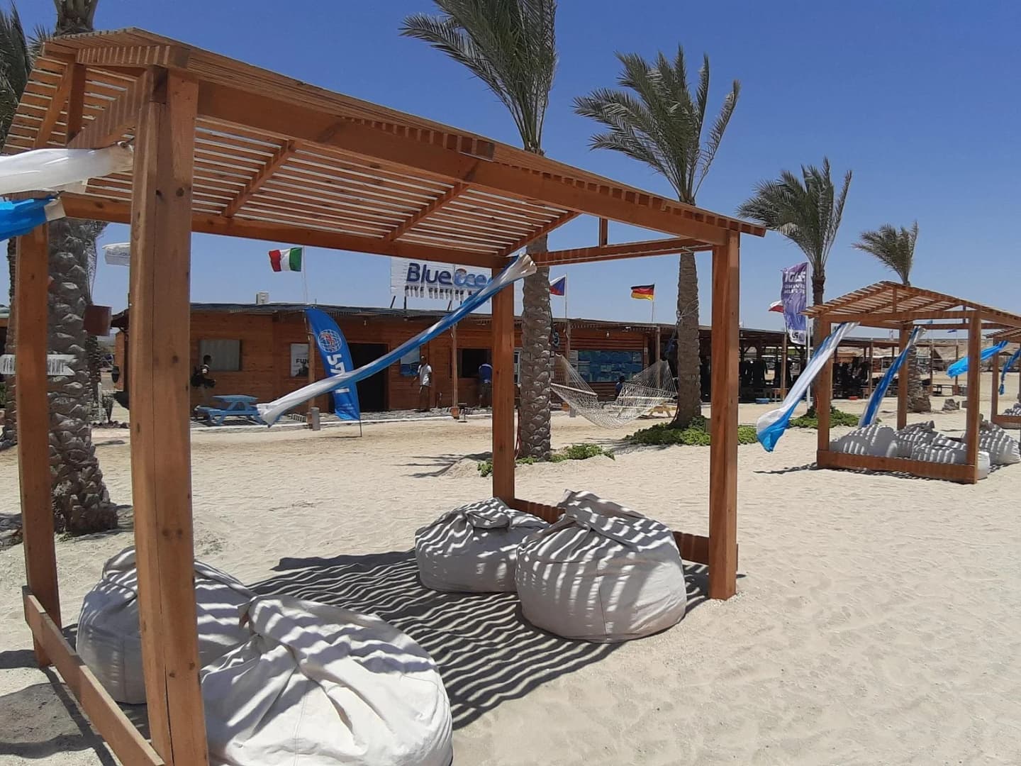 turtles bay swimming with turtles hurghada marsa alam - Image 5