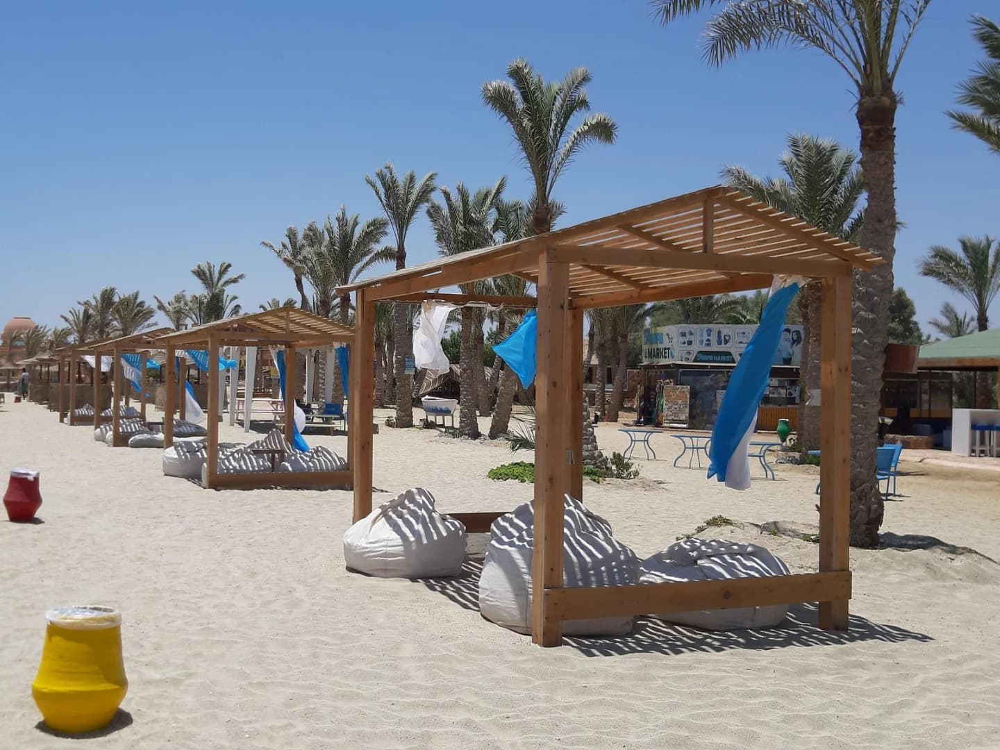 turtles bay swimming with turtles hurghada marsa alam - Image 6