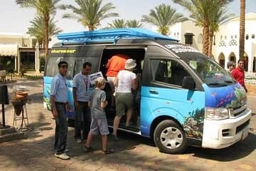 عرض كل الصور