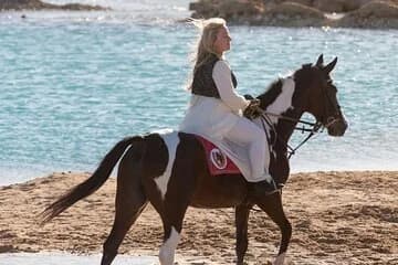 2 Hour Horseback Ride in Nabq Bay - Image 2