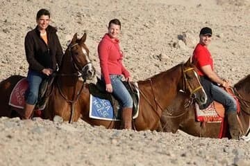 2 Hour Horseback Ride in Nabq Bay - Image 3