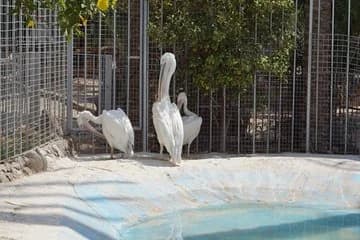 Grand Aquarium Hurghada - Image 2