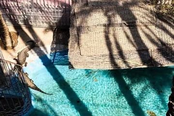 Grand Aquarium Hurghada - Image 4