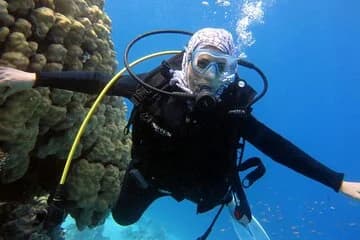 Excursion to Tiran Island by boat - Image 2