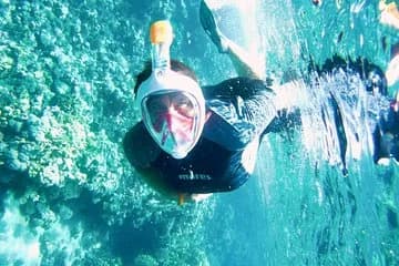 Excursion to Tiran Island by boat - Image 4