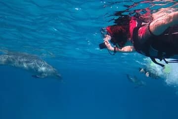 Orange Bay, all day trip with snorkeling - Image 4