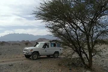 3 hours Mini Super Safari (Family Safari) - Image 4