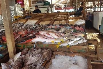 Private City Tours Hurghada - Image 3