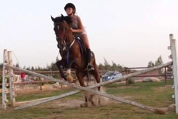 Horse Riding 02 Hours Beach or Desert - Image 2