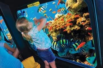 Royal Sea Scope Semi Submarine - Marsa Alam - Image 1