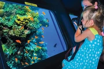 Royal Sea Scope Semi Submarine - Marsa Alam - Image 3