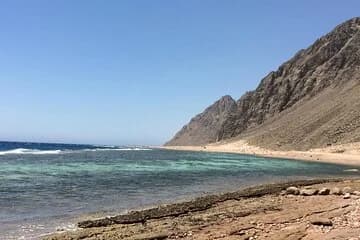 عرض كل الصور