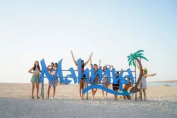 عرض كل الصور