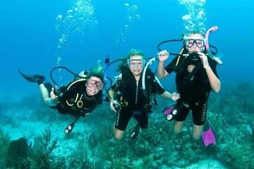 Scuba Diving Experience in Hurghada with Lunch - Image 3