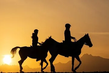 Free Product for January - Image 2