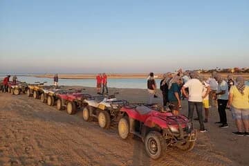 Free Product for January - Image 3