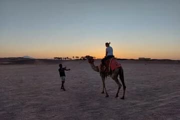 Free Product for January - Image 4