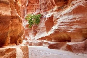 Petra Temple And Jordan full day Tour - Image 4