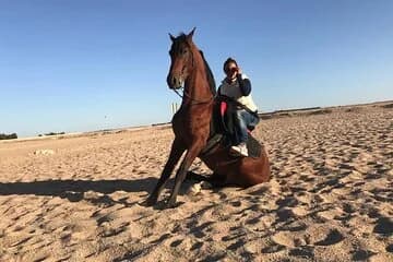 Horse Riding on Hurghada Desert and Beach - Image 2