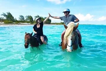 Horse Riding on Hurghada Desert and Beach - Image 3
