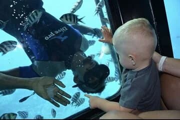 Semi Submarine with Snorkeling in Hurghada - Image 1