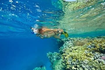 Marsa Allam Snorkeling Activity with Lunch - Image 3
