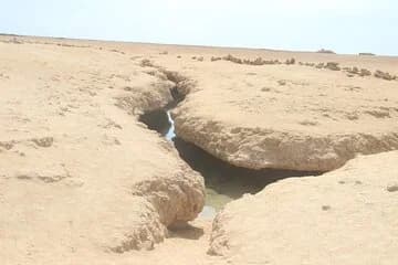 Bus Tour to Ras Mohamed from Sharm El Sheikh - Image 2