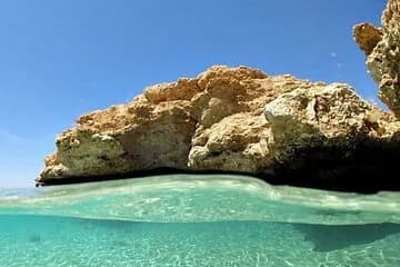 Bus Tour to Ras Mohamed from Sharm El Sheikh - Image 3