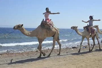 Blue Hole and Dahab City from Sharm El Sheikh - Image 6