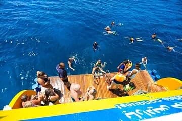 Scuba Diving With Snorkel In One Trip - Image 3