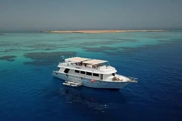 Scuba Diving Trip in El Gouna Two Dives - Image 2