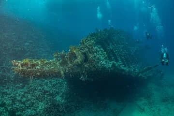Scuba Diving Trip in El Gouna Two Dives - Image 3