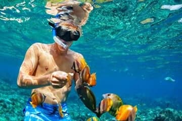 Tiran Island Snorkeling Excursion - Image 4