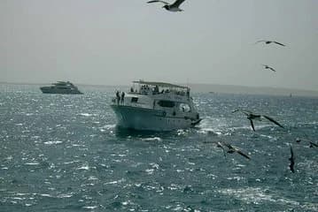 Private sea trip Hurghada - Image 1