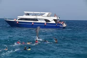 Dolphin House and Banana Boat Fun from Hurghada - Image 1